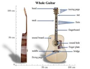 How To Learn To Play An Acoustic Guitar | All Stringed