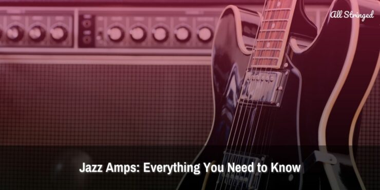 Jazz Amps: Everything You Need To Know | All Stringed